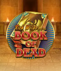 Embark on the thrilling world of Book of Dead by Play'n GO, presenting vivid graphics of Rich Wilde’s adventurous journey through ancient Egyptian tombs and artifacts. Uncover lost riches with engaging mechanics like free spins, expanding symbols, and a gamble option. Ideal for those seeking adventure with a desire for thrilling discoveries.