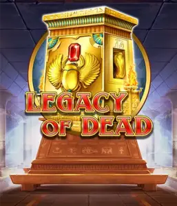 Try  Legacy of Dead slot by Play'n GO featuring free spins and growing symbols, beginning with bets from $0.10.